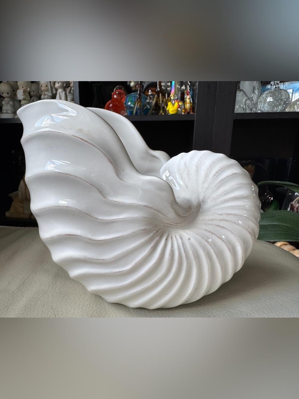 White Ceramic Nautilus Shell Sculpture - Decorative Home Art - Picture 1 of 7
